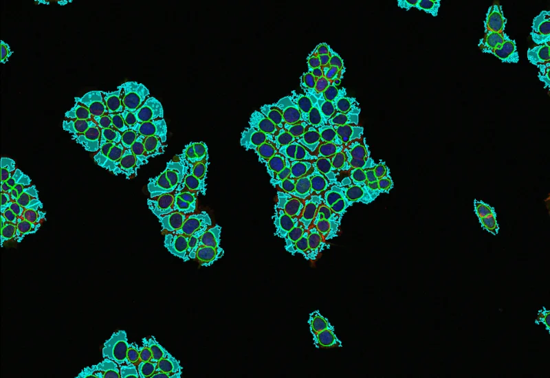 Dynamic Content Image